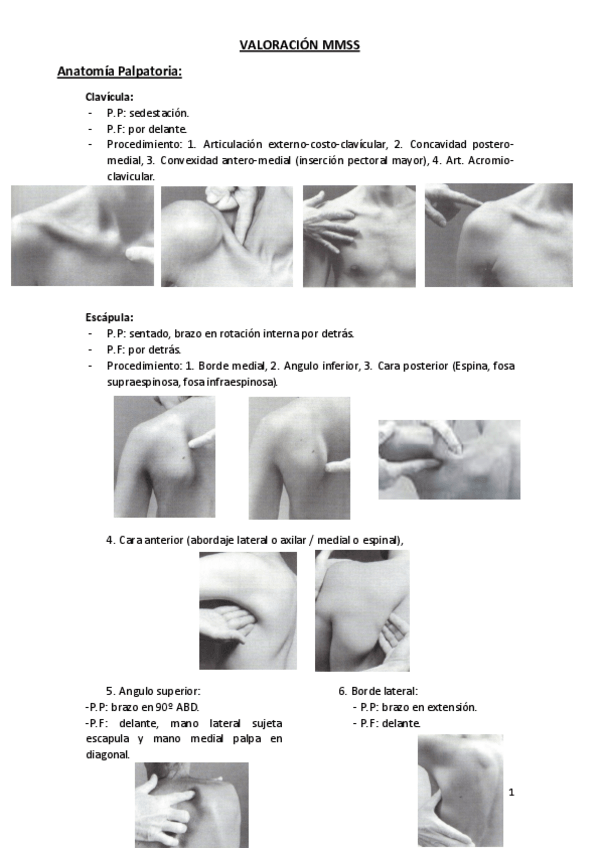 Miniatura del documento VALORACIÓN MMSS.pdf