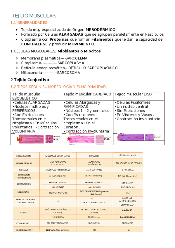 Miniatura del documento TEJIDO-MUSCULAR.docx