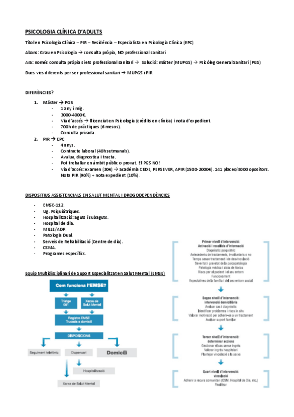 Miniatura del documento Psicologia clínica d'adults.pdf