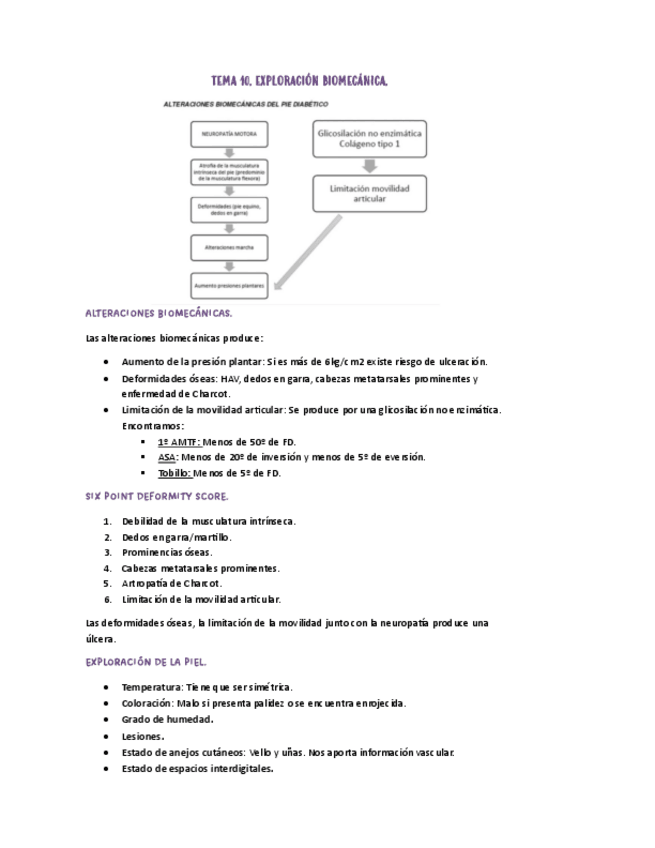 Miniatura del documento TEMA-10.-EXPLORACION-BIOMECANICA.PDF