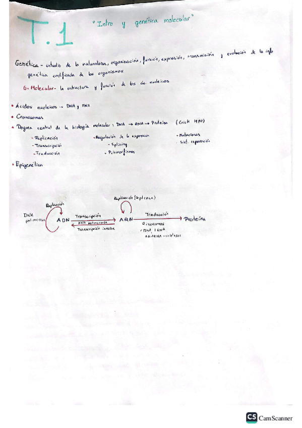 Miniatura del documento Tema-1.-Introduccion.-Biologia-Molecular.pdf