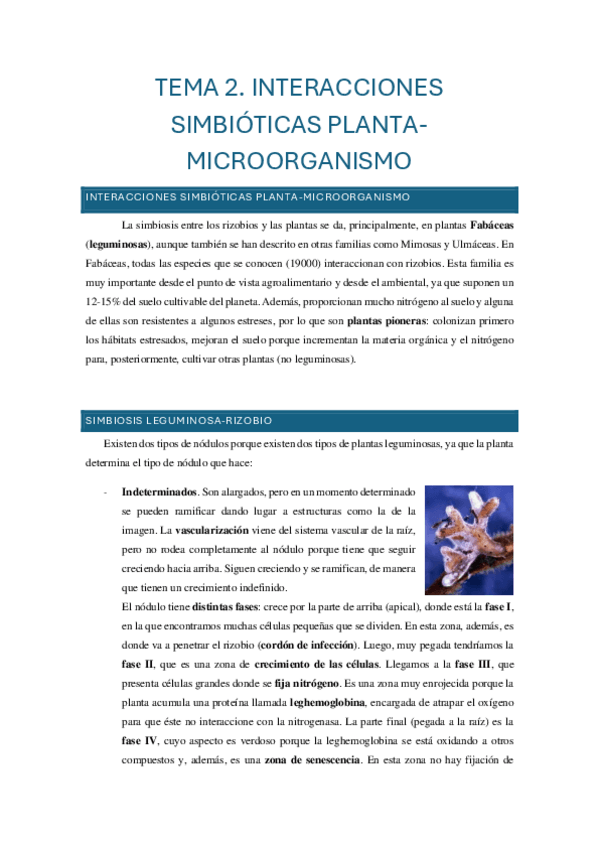 Miniatura del documento Tema-2-INTERACCIONES-SIMBIOTICAS-PLANTA-MICROORGANISMO.pdf