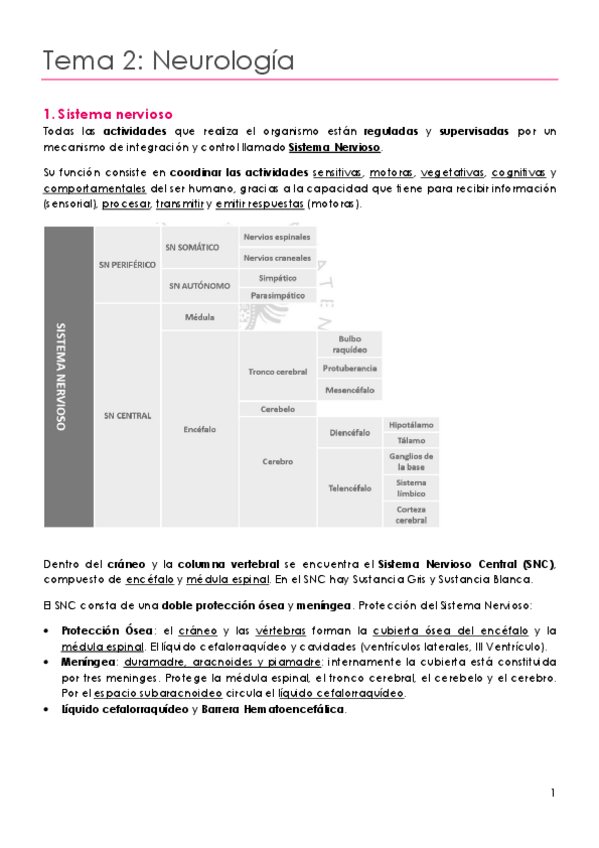 Miniatura del documento Tema 2 neuro.pdf