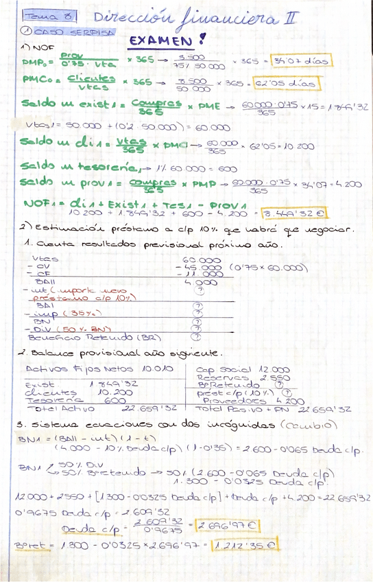 Miniatura del documento TEMA-8-Direccion-Financiera-II.pdf