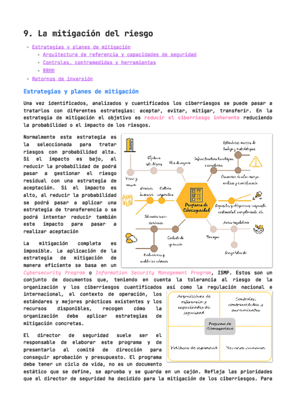 Miniatura del documento 9.-La-mitigacion-del-riesgo.pdf
