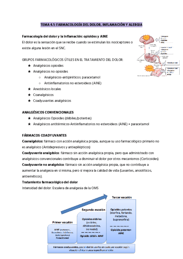 Miniatura del documento TEMA-4.1.-OPIOIDES-Y-AINE.pdf