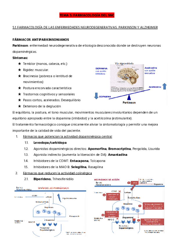 Miniatura del documento TEMA-5.1-PARKINSON-Y-ALZHEIMER.pdf