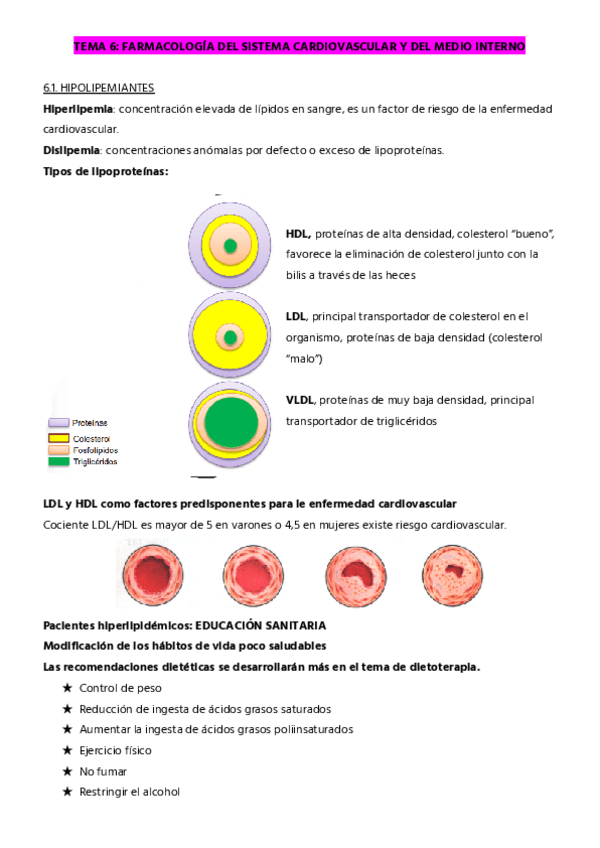 Miniatura del documento TEMA-6.1-HIPOLIPEMIANTES.pdf