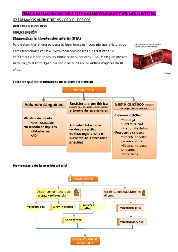 Miniatura del documento TEMA-6.2-ANTIHIPERTENSIVOS-Y-DIURETICOS.pdf