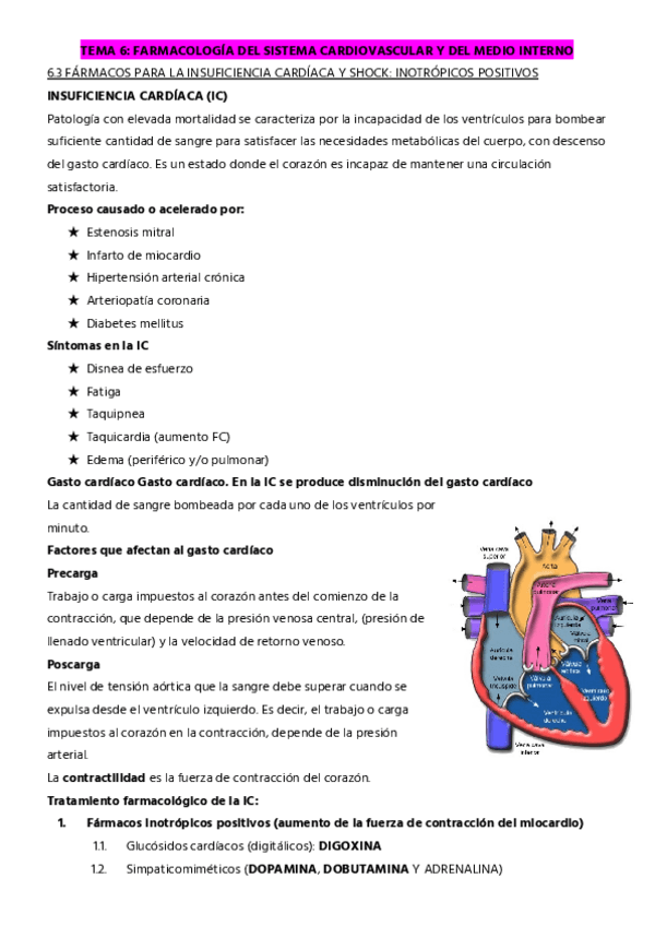 Miniatura del documento TEMA-6.3-IC-Y-SHOCK.pdf