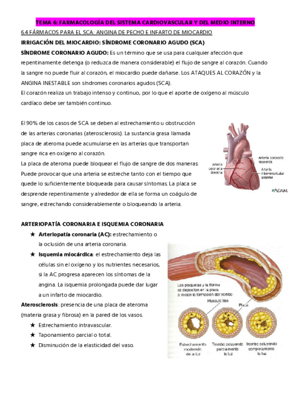 Miniatura del documento TEMA-6.4-SCA-ANGINA-E-IM.pdf