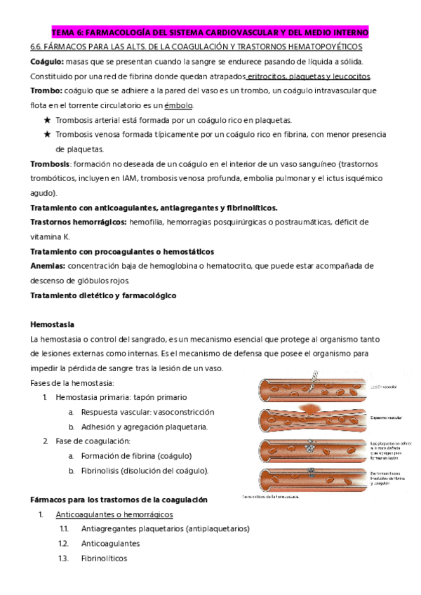 Miniatura del documento TEMA-6.6-COAGULACION.pdf