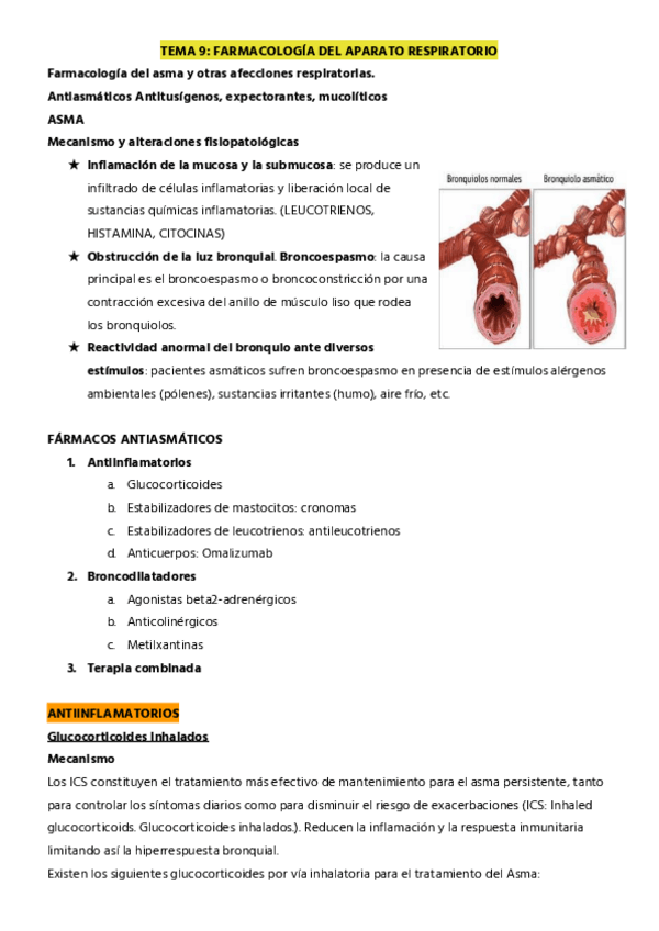 Miniatura del documento TEMA-9-SISTEMA-RESPIRATORIO.pdf