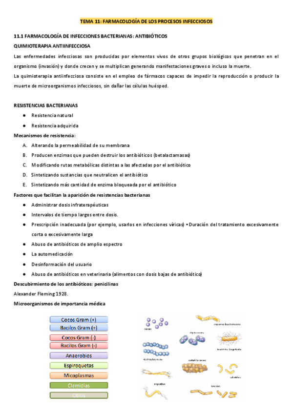 Miniatura del documento TEMA-11.1-ANTIBIOTICOS.pdf