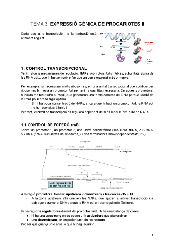 Miniatura del documento tema-3-Expressio-Genica-de-Procariotes-II.pdf
