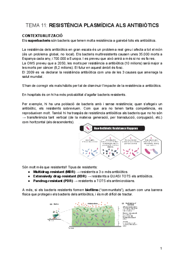 Miniatura del documento tema-11-Resistencia-Plasmidica-als-Antibiotics.pdf