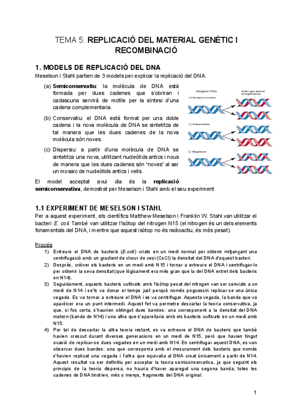 Miniatura del documento tema-5-Replicacio-del-DNA-i-Recombinacio.pdf