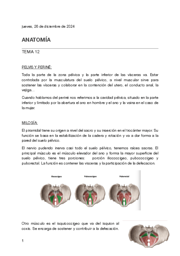 Miniatura del documento Tema-12-anatomia.pdf