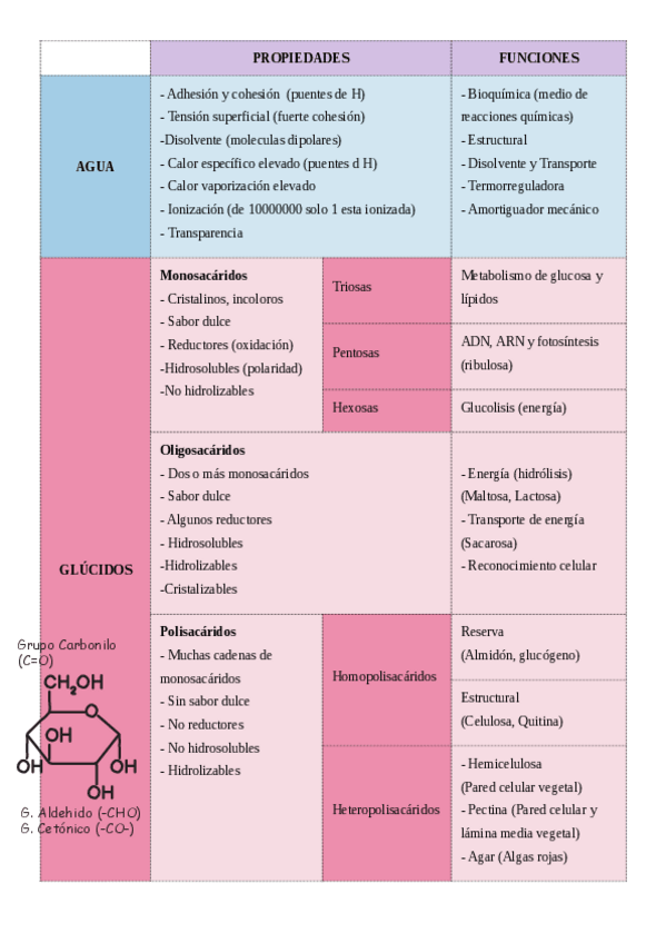 Miniatura del documento Cuadro-comparativo-biomoleculas.pdf