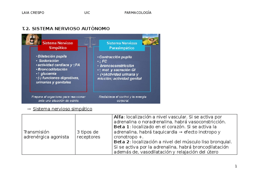 Miniatura del documento farmacologia-tablas-resumen.docx