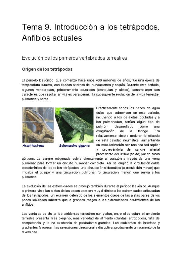Miniatura del documento Tema 9. Introducción a los tetrapodos. Anfibios actuales.pdf