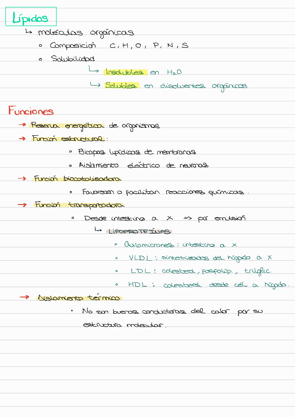 Miniatura del documento APUNTES-TEMA-4-BIOLOGIA.pdf