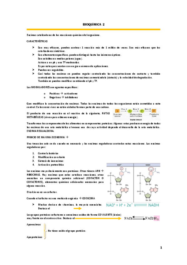 Miniatura del documento Apuntes-BIOQUIMICA-TEMA-2.pdf