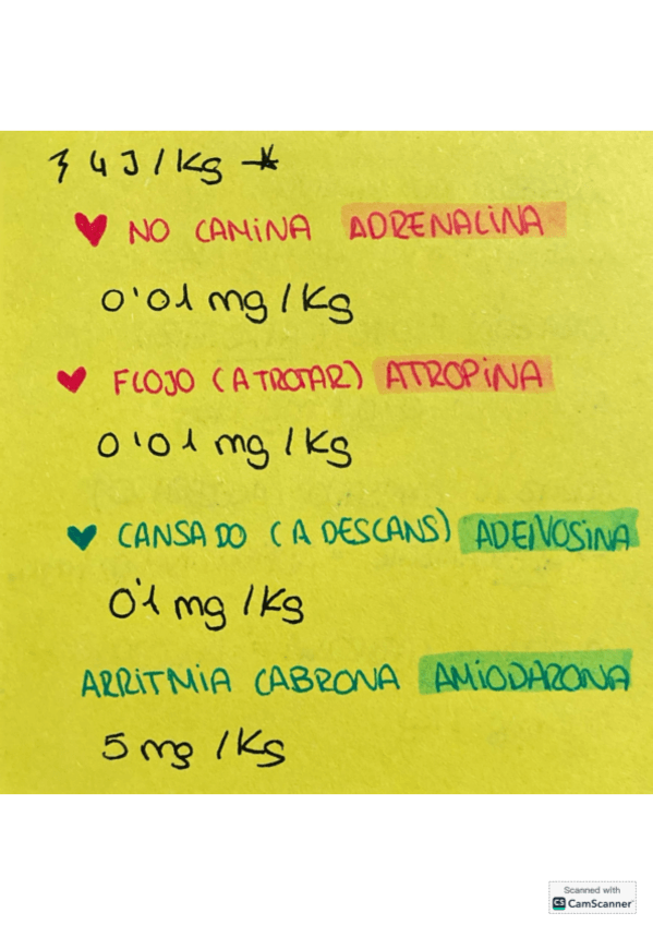 Miniatura del documento CamScanner-2025-05-25-19.32.pdf