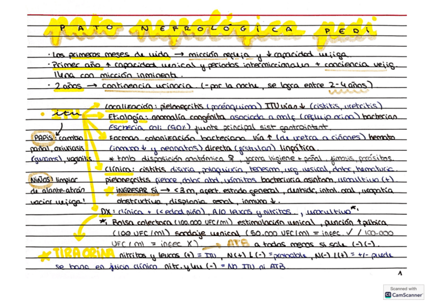 Miniatura del documento PEDI-NEFRO.pdf