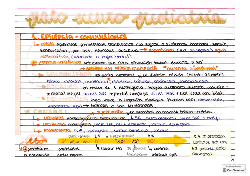 Miniatura del documento PEDI-NEURO.pdf