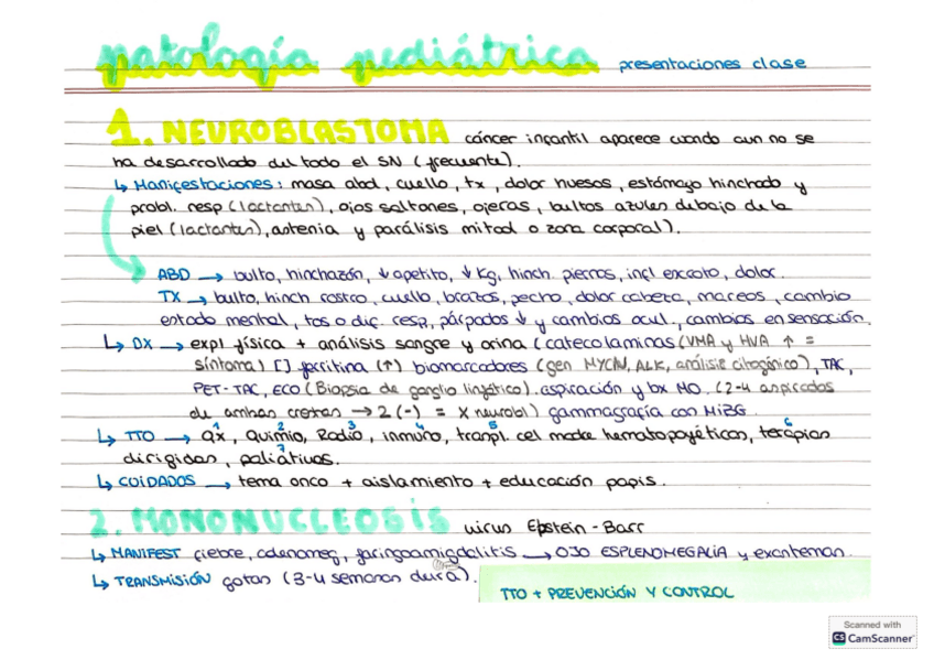 Miniatura del documento PEDI-PATO.pdf
