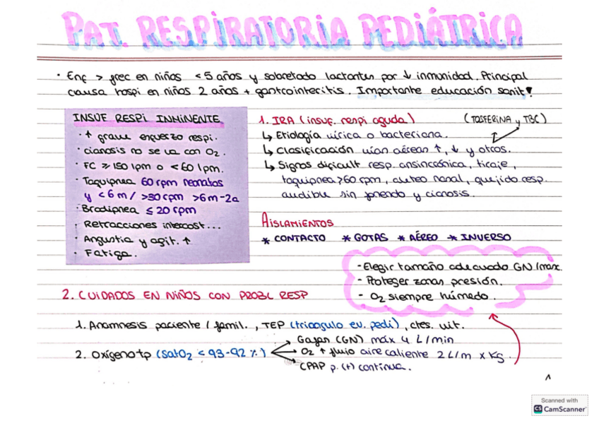 Miniatura del documento PEDI-RESPI.pdf