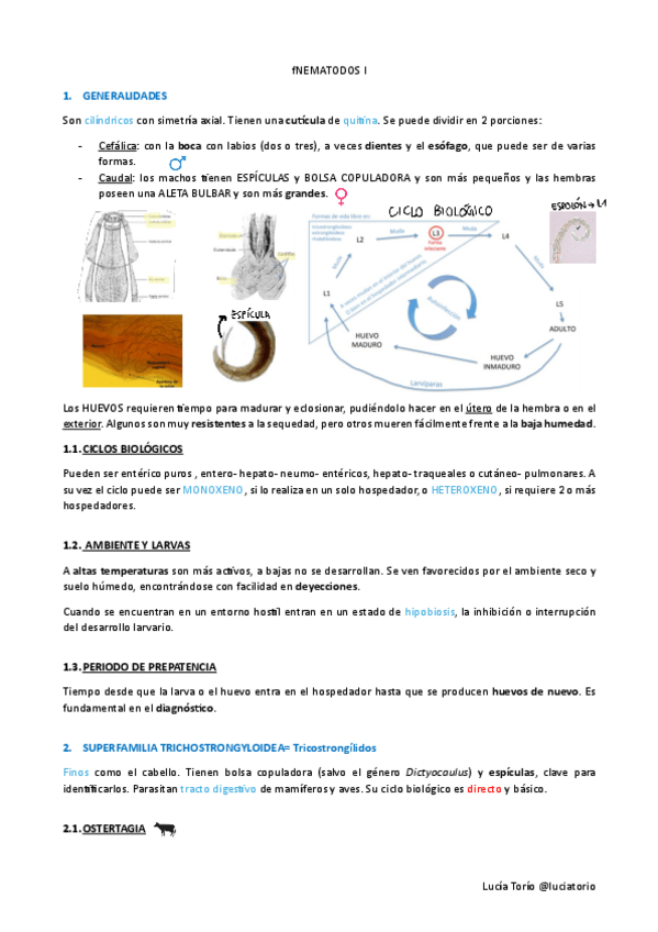 Miniatura del documento Agentes-biologicos-II-Nematodos-I.pdf