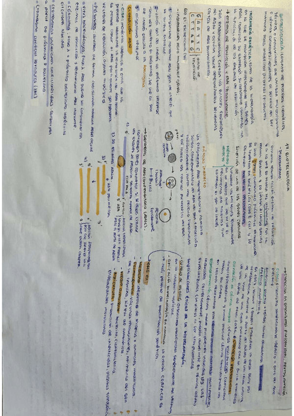 Miniatura del documento tipos-mutaciones-2-bachillerato.pdf
