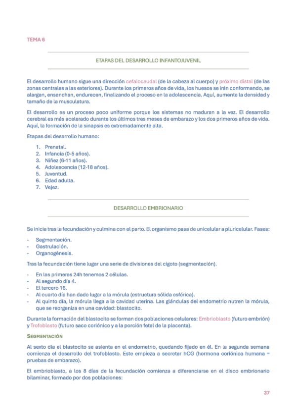 Miniatura del documento TEMA-6.pdf