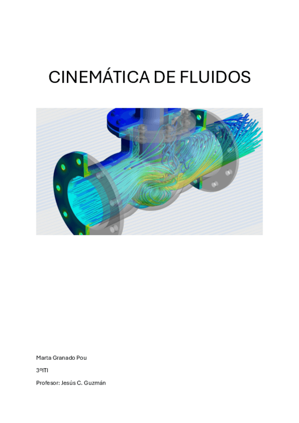 Miniatura del documento Concepto-Fluidos-Trabajo-Marta-Granado-Pou.pdf
