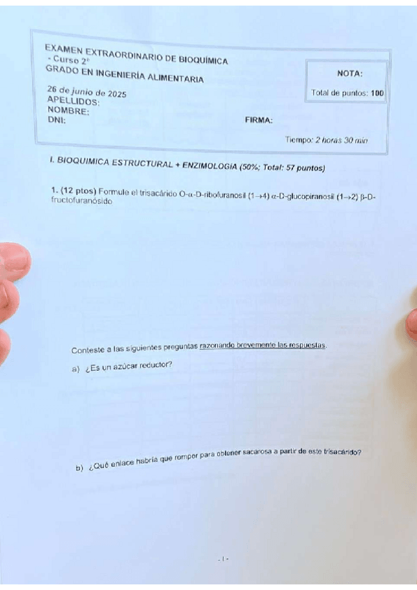 Miniatura del documento recuperacion.2025.pdf