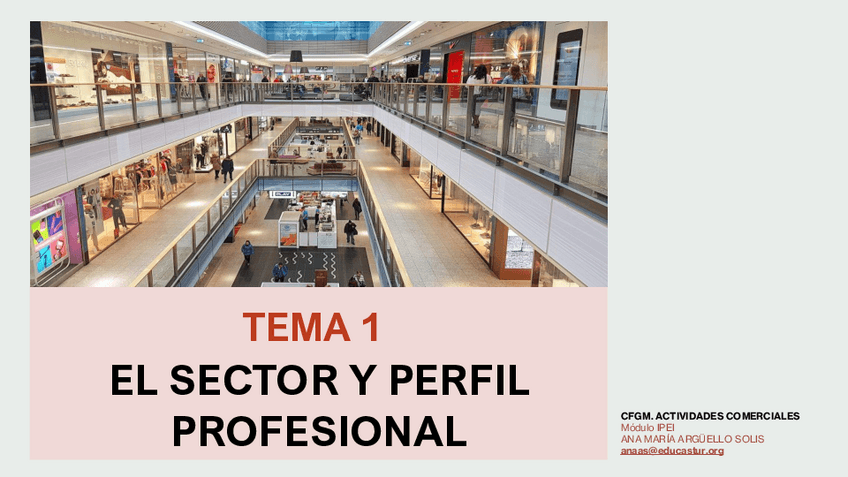 Miniatura del documento IPEI.-TEMA1.-MI-SECTOR-PROFESIONAL.-AACC.pdf