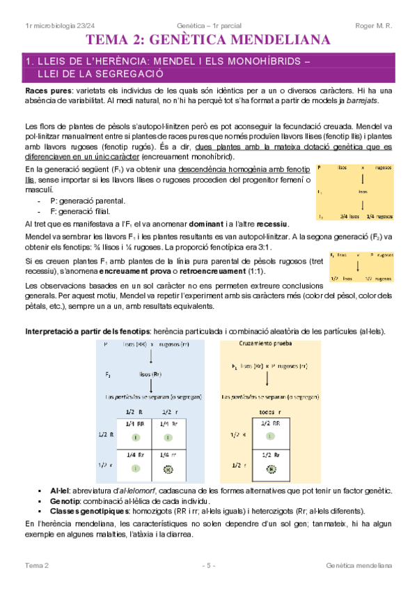 Miniatura del documento Genetica-Tema-2.pdf