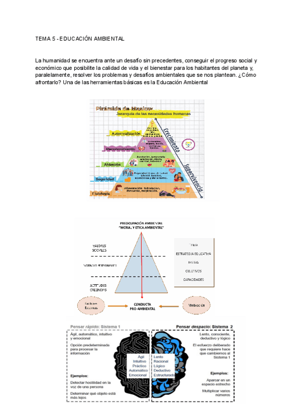 Miniatura del documento TEMA-5-EDUCACION-AMBIENTAL.pdf
