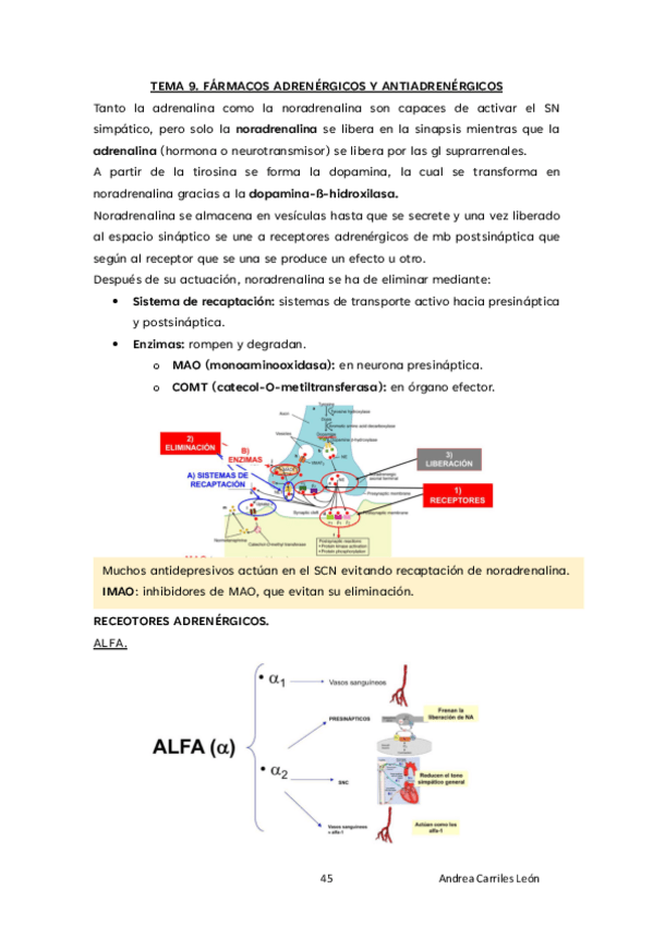 Miniatura del documento TEMA-9-FARMA-23.pdf