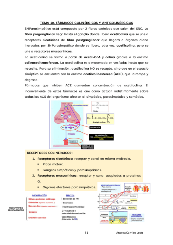 Miniatura del documento TEMA-10-FARMA-23.pdf