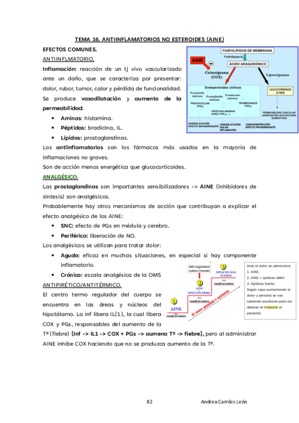 Miniatura del documento TEMA-16-FARMA-23.pdf