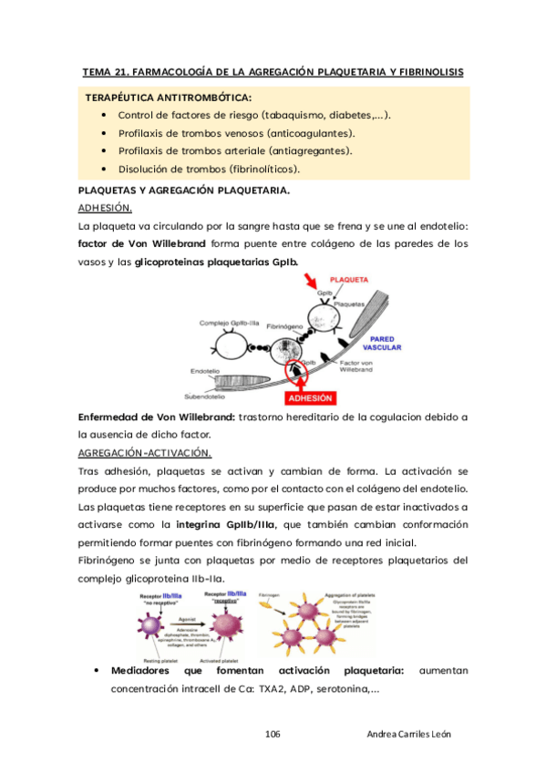 Miniatura del documento TEMA-21-FARMA-23.pdf