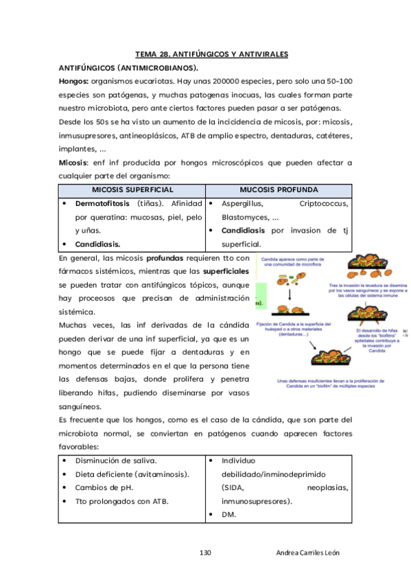 Miniatura del documento TEMA-26-FARMA-23.pdf