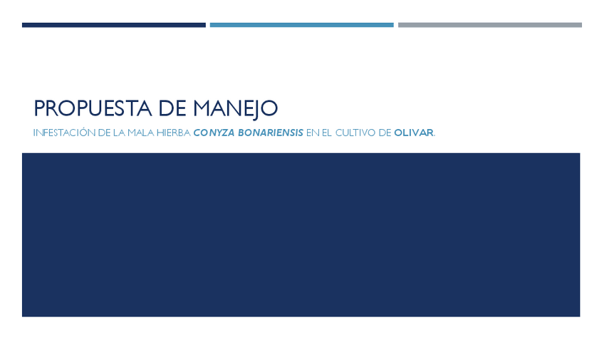 Miniatura del documento Trabajo Malherbologia.pdf