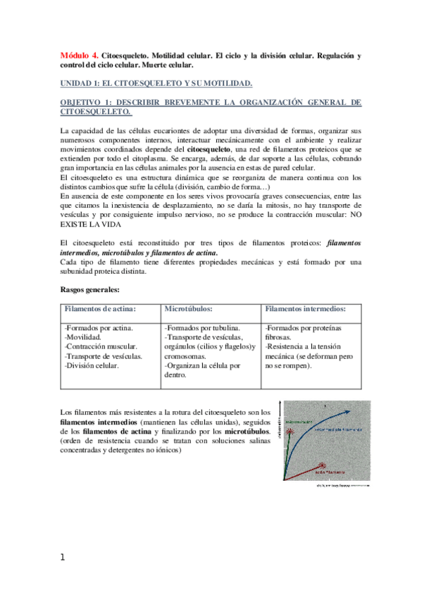 Miniatura del documento MODULO4 resumen.docx