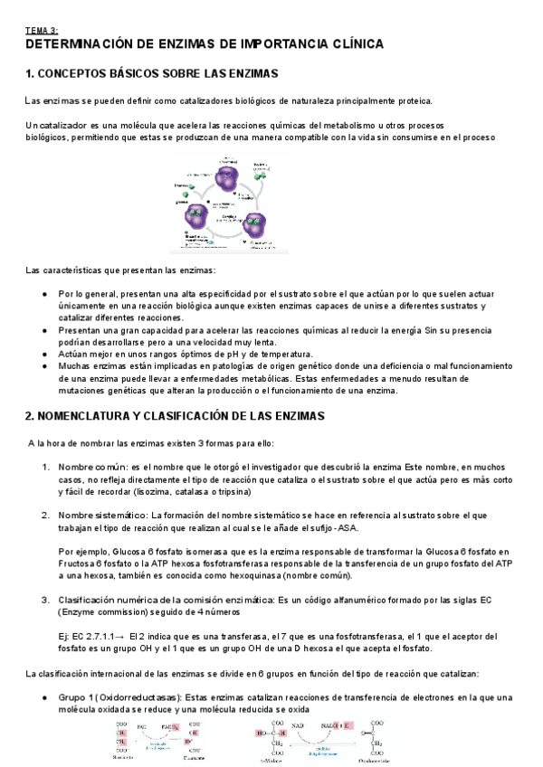 Miniatura del documento Tema-3.-Determinacion-de-enzimas-de-importancia-clinica.pdf