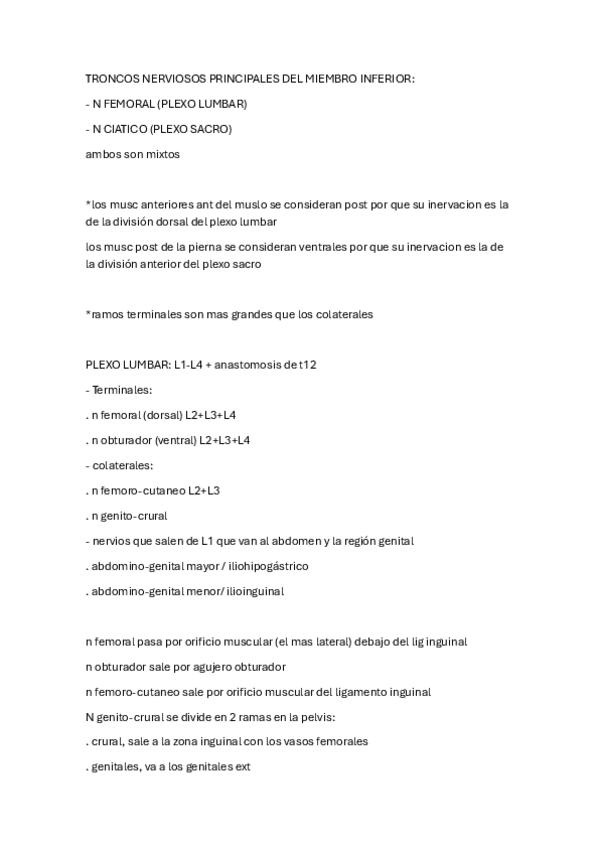 Miniatura del documento TRONCOS-NERVIOSOS-PRINCIPALES-DEL-MIEMBRO-INFERIOR.pdf