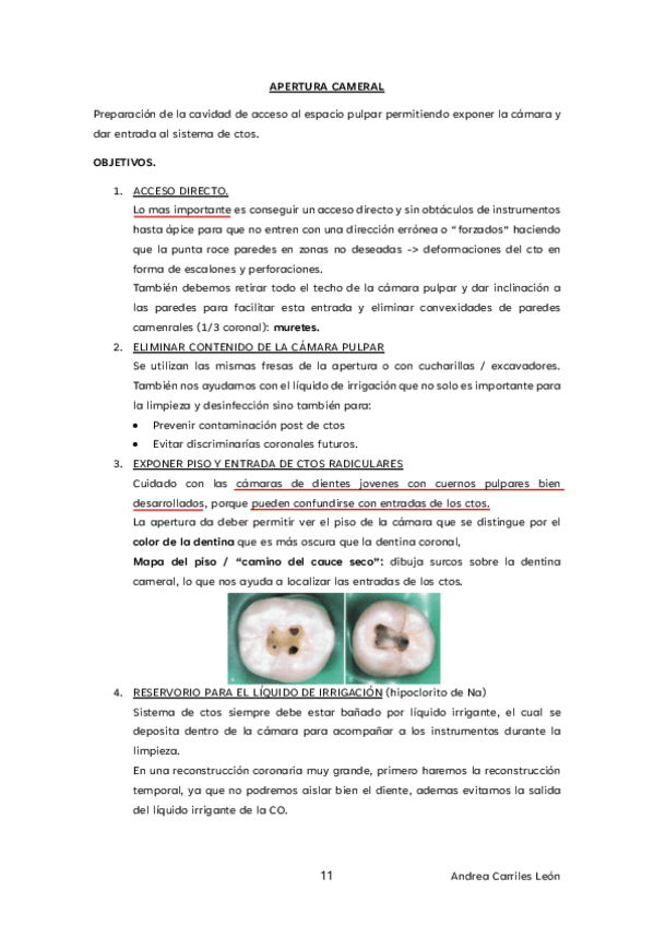 Miniatura del documento APERTURA.pdf